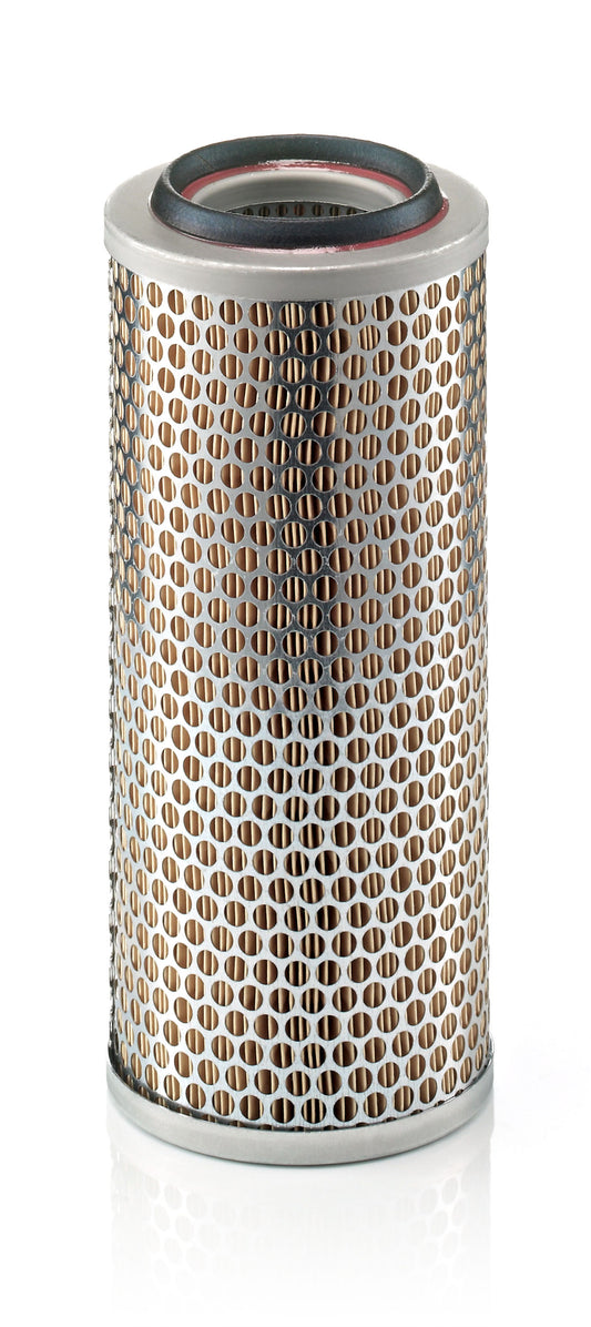 GARDNER DENVER ZS1063357 Premium Replacement Air Filter